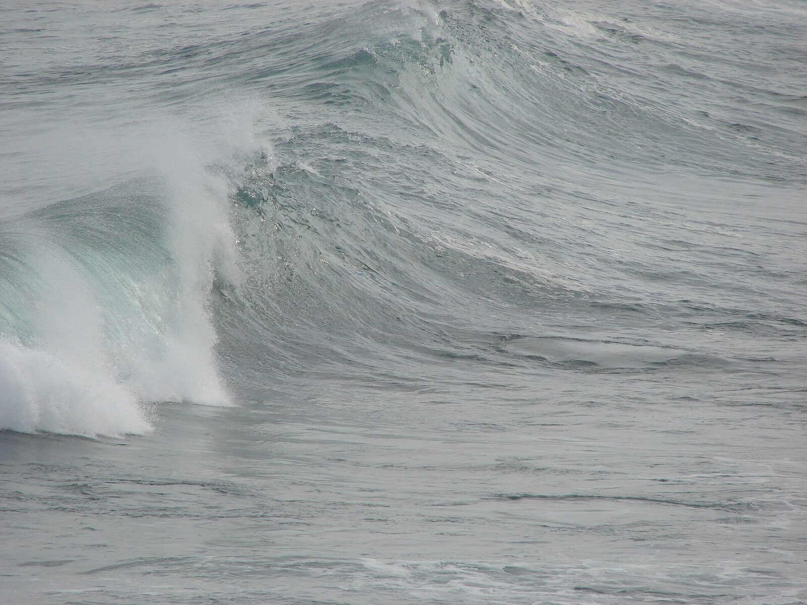 Nordeste Surfboards